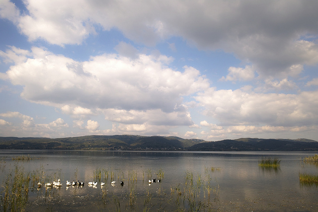 Day trip to Sapanca lake