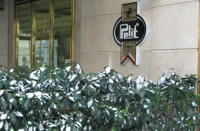 Bushes at the entrance to popular Turkish bakery "Pelit" covered with snow