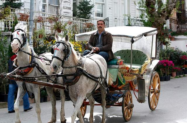 Princes' Islands in Istanbul